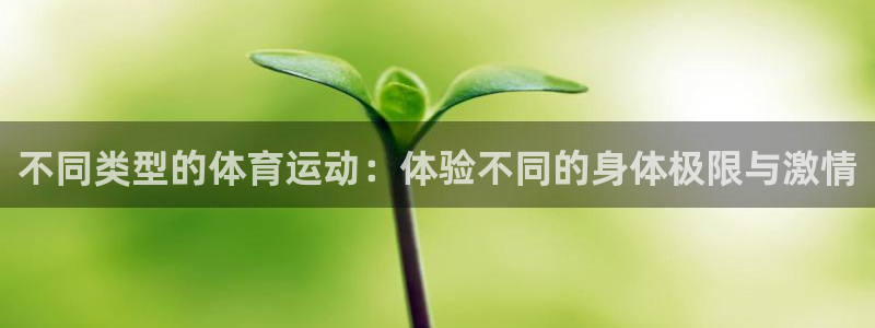 球王会体育：不同类型的体育运动：体验不同的身体极限与激情