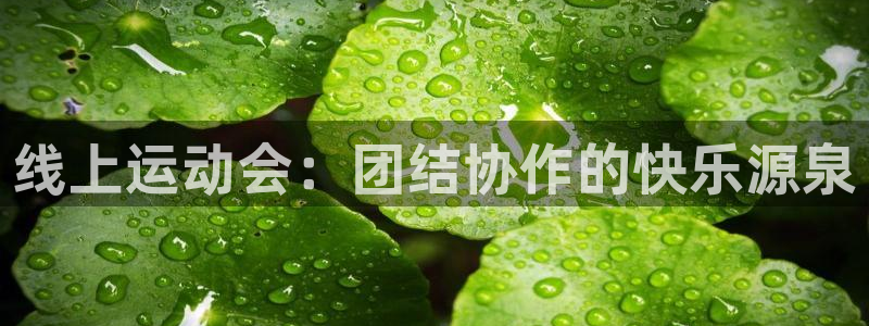 球王会体育：线上运动会：团结协作的快乐源泉
