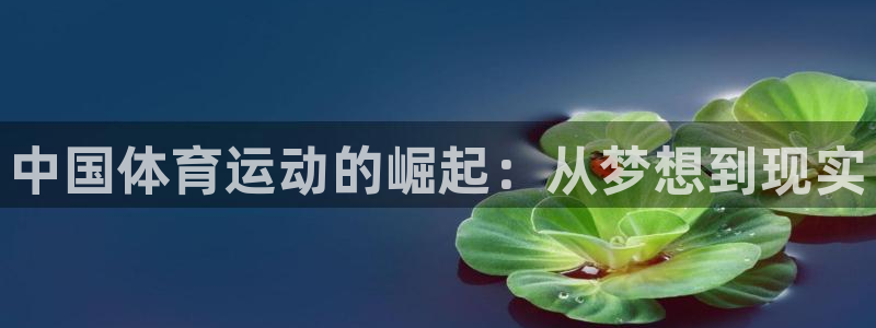 球王会体育：中国体育运动的崛起：从梦想到现实