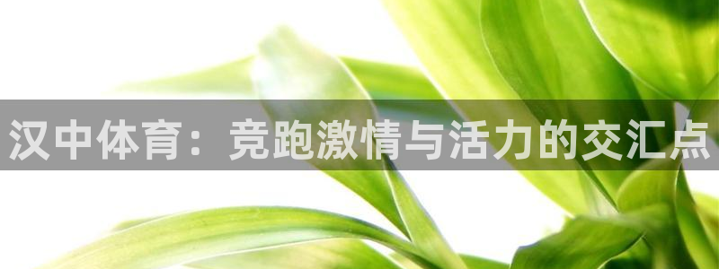 球王会体育：汉中体育：竞跑激情与活力的交汇点