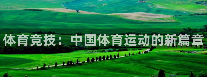 球王会体育：体育竞技：中国体育运动的新篇章