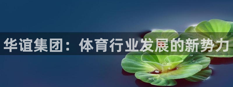 球王会体育：华谊集团：体育行业发展的新势力