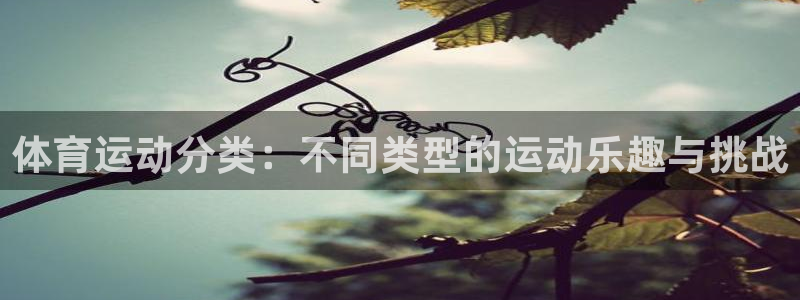 球王会体育：体育运动分类：不同类型的运动乐趣与挑战