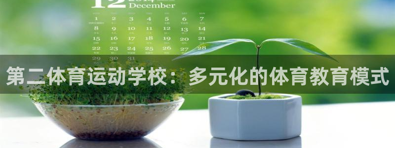 球王会体育：第二体育运动学校：多元化的体育教育模式