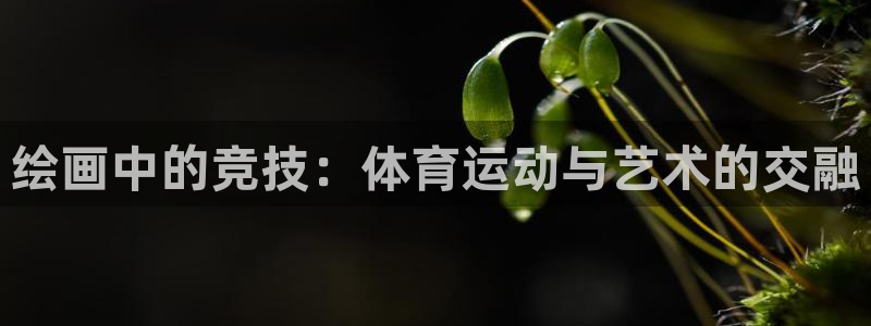 球王会体育：绘画中的竞技：体育运动与艺术的交融