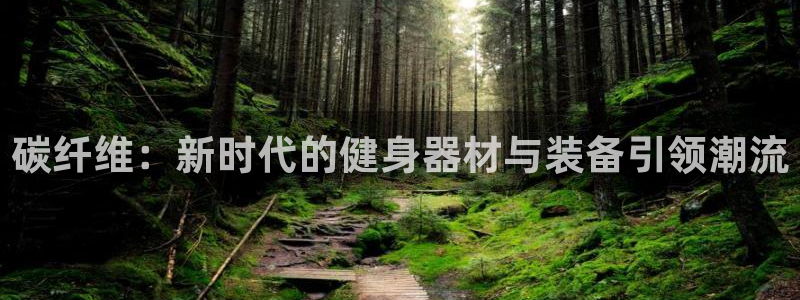 球王会体育：碳纤维：新时代的健身器材与装备引领潮流