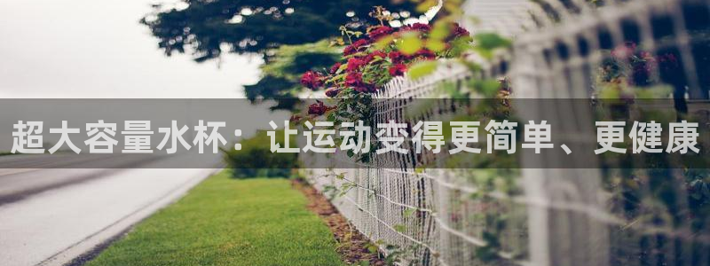 球王会体育：超大容量水杯：让运动变得更简单、更健康