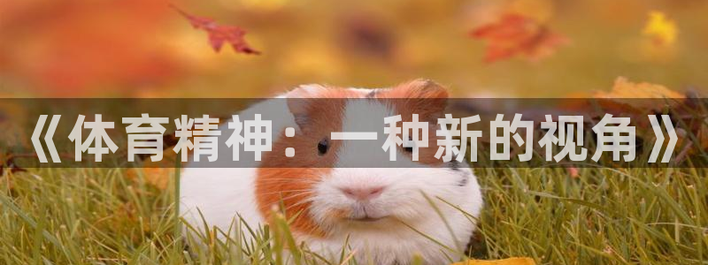 球王会体育：《体育精神：一种新的视角》