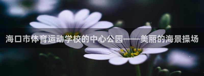 球王会体育：海口市体育运动学校的中心公园——美丽的海景操场